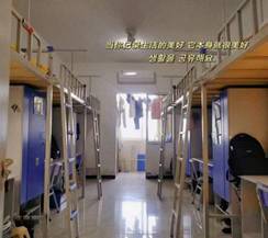 ddd4f884188d6af9d7a29b0cb5d71eb