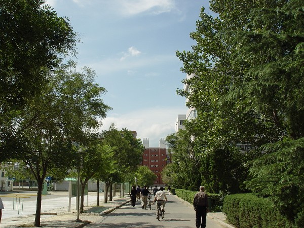 晋安路校区校内道路